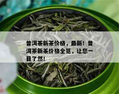 普洱茶新茶价格，最新！普洱茶新茶价格全览，让您一目了然！