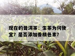 现在的普洱茶：生茶为何便宜？是否添加香精色素？