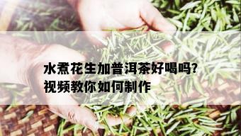 水煮花生加普洱茶好喝吗？视频教你如何制作