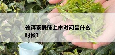 普洱茶更佳上市时间是什么时候？