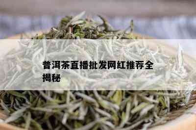 普洱茶直播批发网红推荐全揭秘