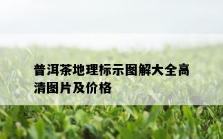 普洱茶地理标示图解大全高清图片及价格