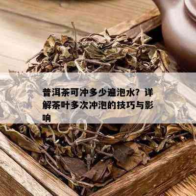 普洱茶可冲多少遍泡水？详解茶叶多次冲泡的技巧与影响