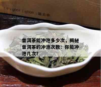 普洱茶能冲泡多少次，揭秘普洱茶的冲泡次数：你能冲泡几次？