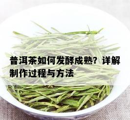 普洱茶如何发酵成熟？详解制作过程与方法