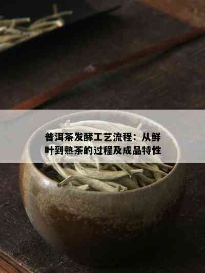 普洱茶发酵工艺流程：从鲜叶到熟茶的过程及成品特性