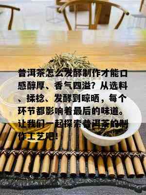 普洱茶怎么发酵制作才能口感醇厚、香气四溢？从选料、揉捻、发酵到晾晒，每个环节都影响着最后的味道。让我们一起探索普洱茶的制作工艺吧！