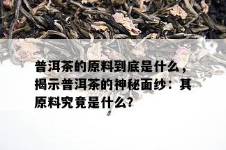 普洱茶的原料到底是什么，揭示普洱茶的神秘面纱：其原料究竟是什么？