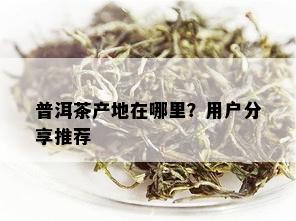 普洱茶产地在哪里？用户分享推荐