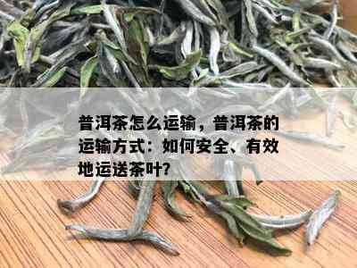 普洱茶怎么运输，普洱茶的运输方式：如何安全、有效地运送茶叶？