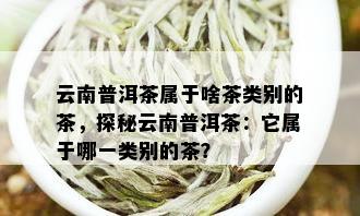 云南普洱茶属于啥茶类别的茶，探秘云南普洱茶：它属于哪一类别的茶？