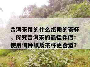 普洱茶用的什么纸质的茶杯，探究普洱茶的更佳伴侣：使用何种纸质茶杯更合适？
