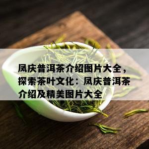 凤庆普洱茶介绍图片大全，探索茶叶文化：凤庆普洱茶介绍及精美图片大全