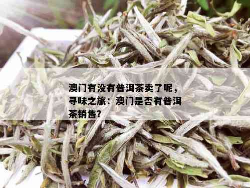 澳门有没有普洱茶卖了呢，寻味之旅：澳门是否有普洱茶销售？