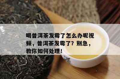 喝普洱茶发霉了怎么办呢视频，普洱茶发霉了？别急，教你如何处理！