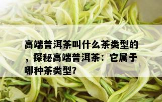 高端普洱茶叫什么茶类型的，探秘高端普洱茶：它属于哪种茶类型？