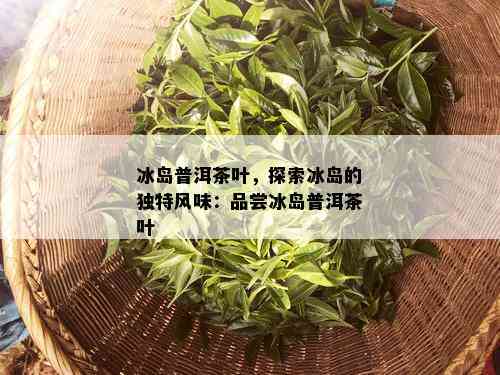 冰岛普洱茶叶，探索冰岛的独特风味：品尝冰岛普洱茶叶