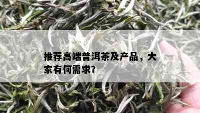 推荐高端普洱茶及产品，大家有何需求？