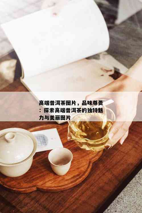 高端普洱茶图片，品味尊贵：探索高端普洱茶的独特魅力与美丽图片