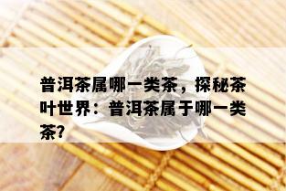 普洱茶属哪一类茶，探秘茶叶世界：普洱茶属于哪一类茶？