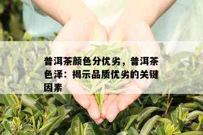 普洱茶颜色分优劣，普洱茶色泽：揭示品质优劣的关键因素