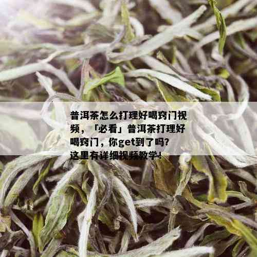 普洱茶怎么打理好喝窍门视频，「必看」普洱茶打理好喝窍门，你get到了吗？这里有详细视频教学！