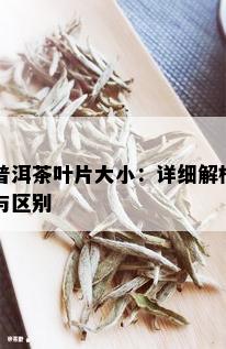 普洱茶叶片大小：详细解析与区别