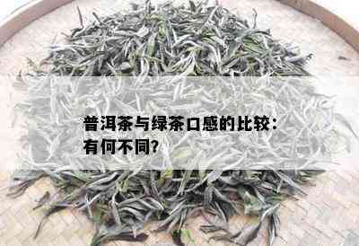 普洱茶与绿茶口感的比较：有何不同？