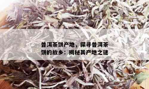 普洱茶饼产地，探寻普洱茶饼的故乡：揭秘其产地之谜