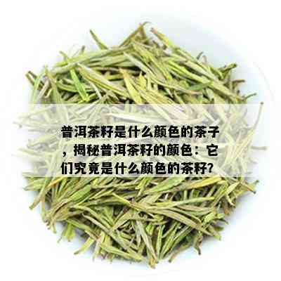 普洱茶籽是什么颜色的茶子，揭秘普洱茶籽的颜色：它们究竟是什么颜色的茶籽？