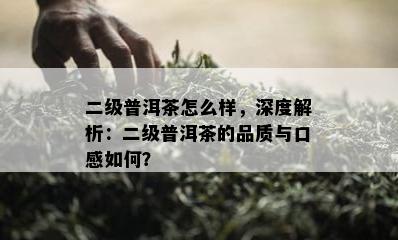 二级普洱茶怎么样，深度解析：二级普洱茶的品质与口感如何？