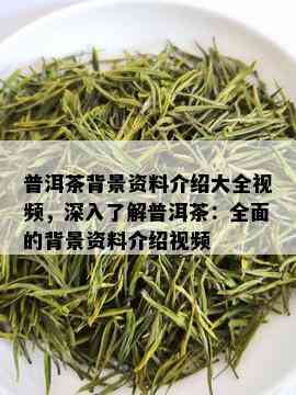 普洱茶背景资料介绍大全视频，深入了解普洱茶：全面的背景资料介绍视频