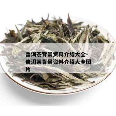 普洱茶背景资料介绍大全-普洱茶背景资料介绍大全图片