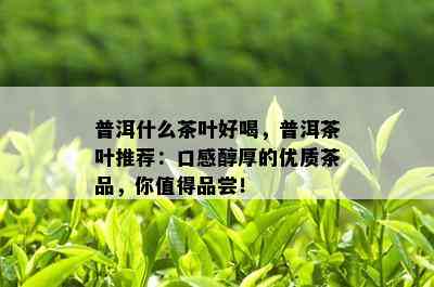 普洱什么茶叶好喝，普洱茶叶推荐：口感醇厚的优质茶品，你值得品尝！