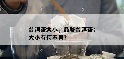 普洱茶大小，品鉴普洱茶：大小有何不同？