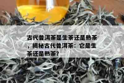 古代普洱茶是生茶还是熟茶，揭秘古代普洱茶：它是生茶还是熟茶？