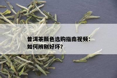 普洱茶颜色选购指南视频：如何辨别好坏？