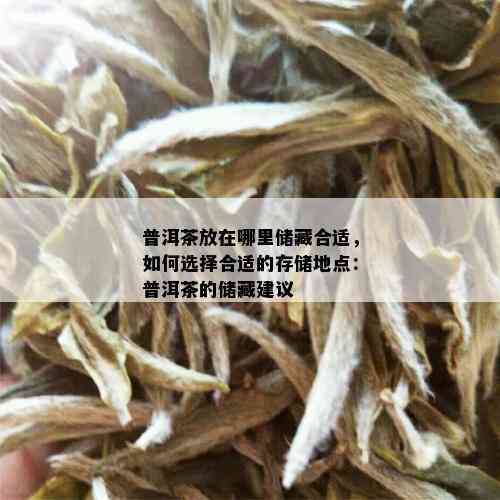 普洱茶放在哪里储藏合适，如何选择合适的存储地点：普洱茶的储藏建议