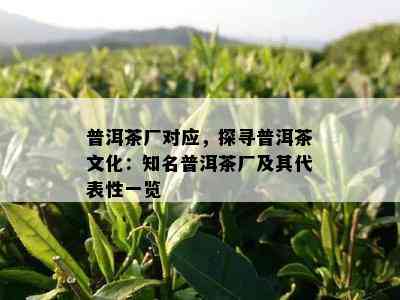 普洱茶厂对应，探寻普洱茶文化：知名普洱茶厂及其代表性一览