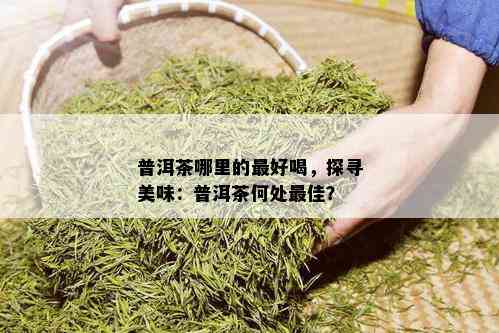 普洱茶哪里的更好喝，探寻美味：普洱茶何处更佳？