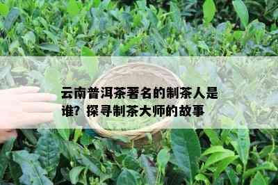 云南普洱茶著名的制茶人是谁？探寻制茶大师的故事