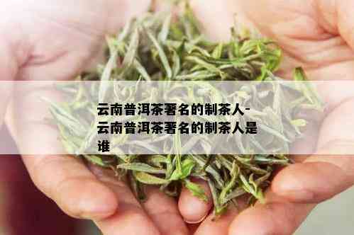 云南普洱茶著名的制茶人-云南普洱茶著名的制茶人是谁