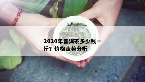 2020年普洱茶多少钱一斤？价格走势分析