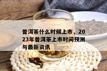 普洱茶什么时候上市，2023年普洱茶上市时间预测与最新资讯