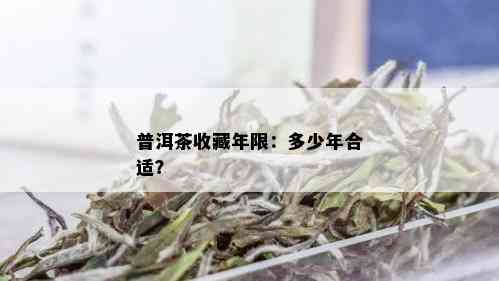 普洱茶收藏年限：多少年合适？