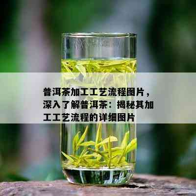 普洱茶加工工艺流程图片，深入了解普洱茶：揭秘其加工工艺流程的详细图片