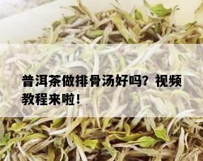 普洱茶做排骨汤好吗？视频教程来啦！