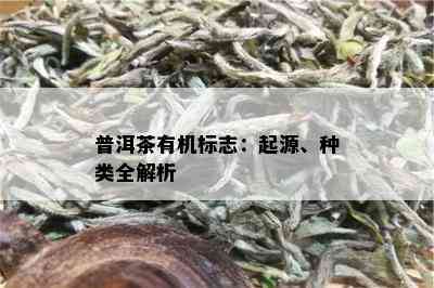 普洱茶有机标志：起源、种类全解析