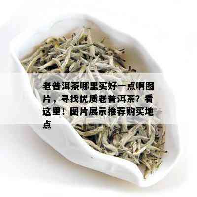 老普洱茶哪里买好一点啊图片，寻找优质老普洱茶？看这里！图片展示推荐购买地点