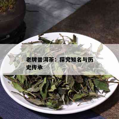 老牌普洱茶：探究知名与历史传承